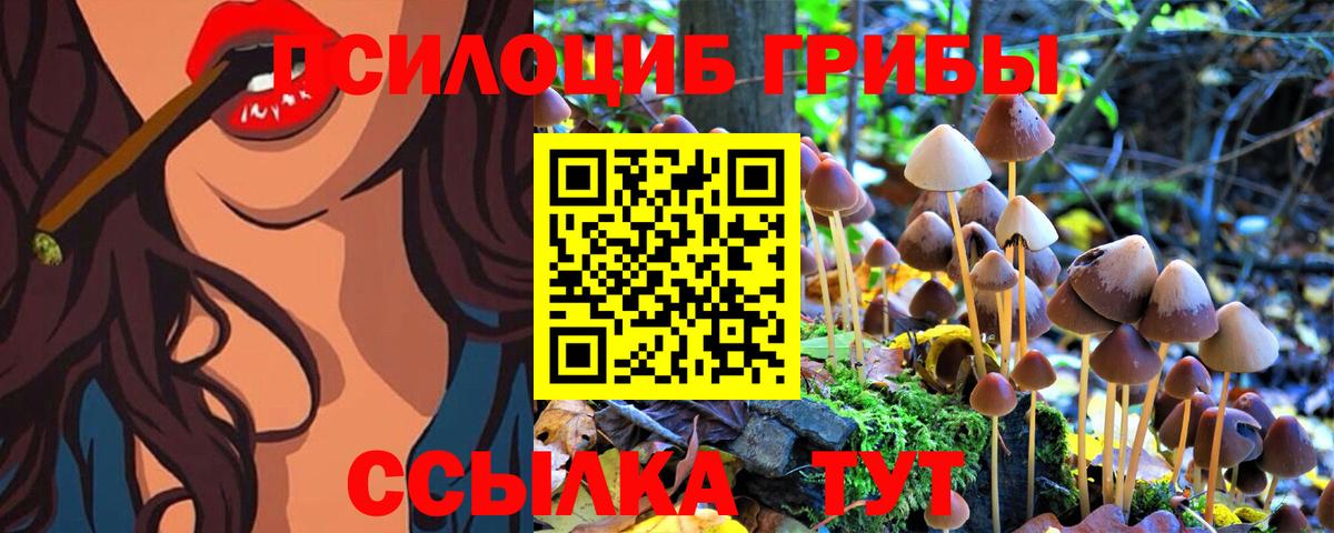 Галлюциногенные грибы Magic Shrooms Благовещенск